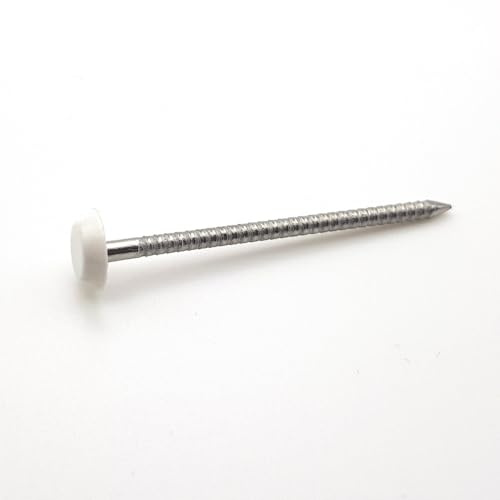 Pointes tête RAL 9016 blanche Inox A4 pour rive 40 mm par 100