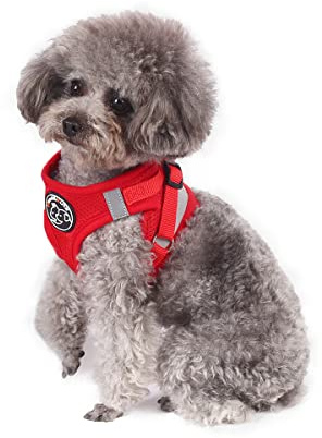Hundegeschirr Set mit Leine- Hund&Katze Klein Weich Vest- Verstellbar Sicher Kontrolle Welpengeschirr Weste & Reflektorstreifen verstellbares Geschirr (S, Rot)