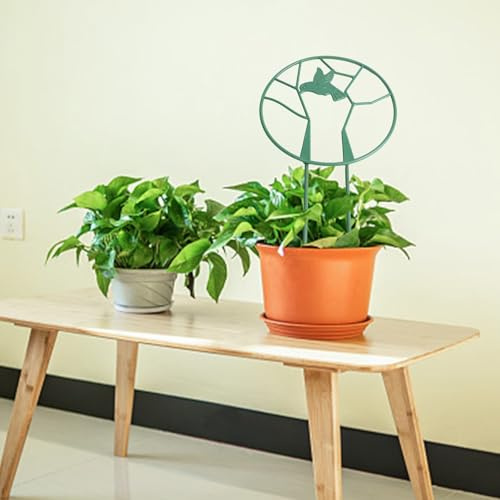Lot de 10 treillis de jardin circulaires pour plantes grimpantes - Résistant aux intempéries - Amovible pour intérieur/extérieur - Pour oiseaux en pot - Plastique ABS - Support