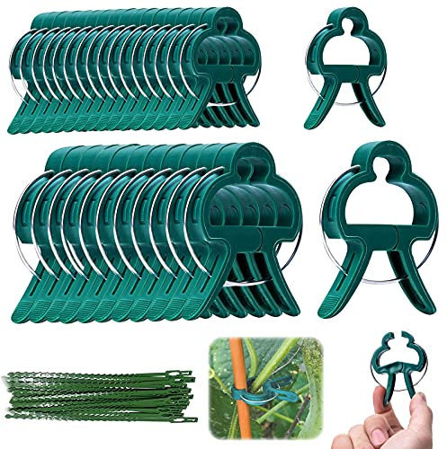 LIVESTN 60 Stück Pflanzenhalter, Pflanzenclips,große Orchid Garten Clips,Pflanzen Verbinder Werkzeug,Unterstützung Von Pflanzen,Stabile Klammern für Kletterpflanzen Befestigung