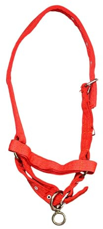 HouseVibe Pferdeseil-Trainingshalfter rot - Vielseitiger Maulkorb für Viehzucht, Stall, Kinder, Reitsport und Zugfahrt- S