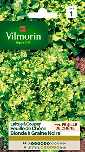 Vilmorin Laitue Vert | Jardin, Légumes, Graines, Semence, Salade, Laitue, À couper, Rustique,