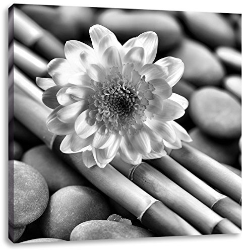 Pixxprint Monocrome, Kleine Blüte auf Bambus, Größe: 40x40, Leinwandbild Quadratisch, Wandbild, Kunstdruck, fertig bespannt