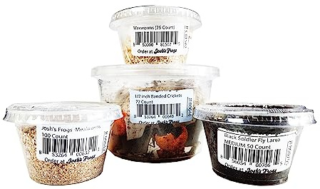 Josh's Frogs Fat Tail Gecko Live Feeder Insect Bundles (Juvenile)