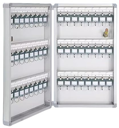 Mavcobo 48 -Bit -Schlüsselbox große Speicherschrank mit großer Kapazität mit Wand montierte Schlüsselkiste geeignet für Krankenhäuser Hotels Fabriken(Silver,48 -bit)