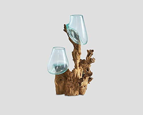Deko-Objekt Vase im Holz-Wurzel Design mit 2 Gläsern 56 cm x 40 cm x 27 cm (HxLxB)