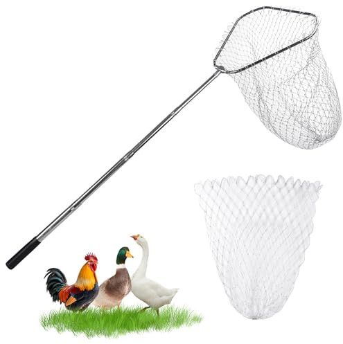 Chicken Catching Net Bird Net with Telescoping Pole, Strong Stainless Handle Full Extended to 48 Inches