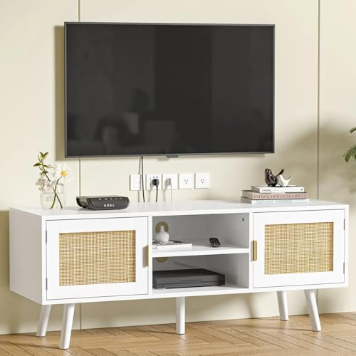 Skokliz TV Schrank 120 x 40 x 49 cm TV Lowboard mit 2 Türen und 2 offenen Regalfächern, Ráttan Fernsehschrank für Fernseher bis zu 65 Zoll, TV Board für Wohnzimmer, Esszimmer, Schlafzimmer
