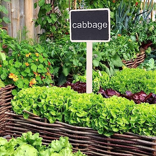 10 Stück Pflanzenschild, Mini-Tafel, Gartendekoration für Blumen-Preisschild