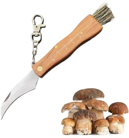 BAOSROY Coltello Funghi,Coltello Funghi con Spazzola,Coltellino per Raccogliere,Coltellos Funghi In Acciaio Inox,Kit Funghi,Coltellos Micologica Manico in Legno(set1