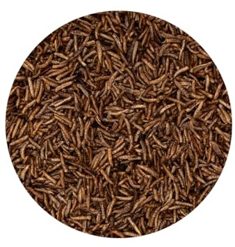 Warnick's Naturhäppchen Fliegenlarven getrocknet - 3 Liter | Für Geflügel, Vögel, Fische & Reptilien - 100% naturbelassen - Hochwertige Proteinquelle & Nahrungsergänzung