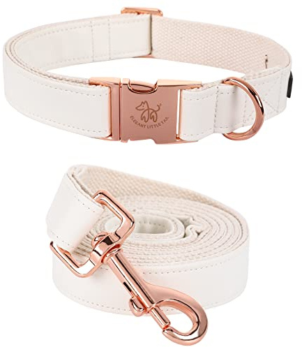 Elegant liten svans hundhalsband och koppel av läder, vit, slitstarkt hundhalsband, flick- eller pojkhusdjurshalsband, justerbart hundhalsband för X-small valpar