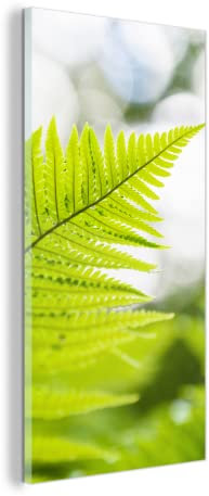 MuchoWow Glasbild Glasfoto Wandbild Bilder Deko 60x120 cm Blatt eines Farns vor einem verblassten Hintergrund