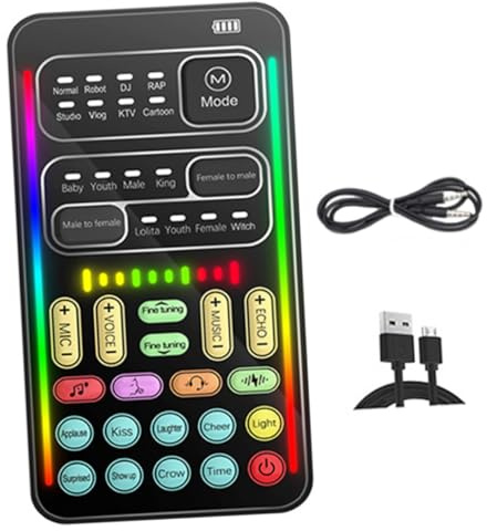 Holibanna Carte Son Portable Multi-usages avec Changeur De Voix Facile À Utiliser pour L'enregistrement Le Divertissement