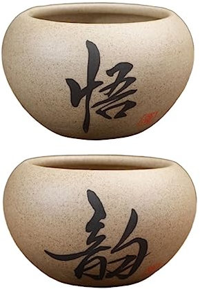 Kisangel 2St die chinesin verkleidung kleine Tontöpfe für Pflanzen Blumentopf für Zuhause Mini-Töpfe dekorative Pflanzgefäße Steingut Keramik Bonsaischale Kleiner Tontopf Anlage
