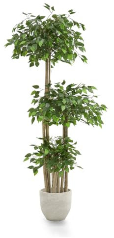 Maia Shop | Ficus | Kunstpflanzen | Künstlicher Baum | 3 Baumkronen | Maße: 175 x 80 cm | Künstliche Pflanzen | Fake Plant | Plastik Pflanze | Deko | Deko Wohnzimmer