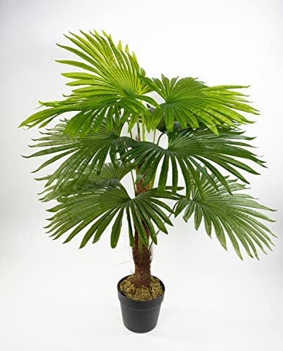 Seidenblumen Roß Fächerpalme Real Touch 90cm ZJ künstliche Palme Palmen Kunstpalmen Kunstpflanzen Dekopalmen