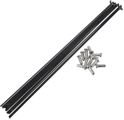 A ABSOPRO 12 Pezzi Raggi per Bicicletta 14G Raggi Ruota Bici in 304 Acciaio Inossidabile Nero con 12 Pezzi Nipples