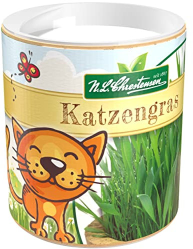 Premium Katzengras Samen Chrestensen Gartenkinder, Grassamen schnellkeimend mit Anleitung für Kinder, 1 Dose für ca. 2-2,5 m² Katzengras fertig gewachsen, Natürliche Katzen Leckerlies zu Hause