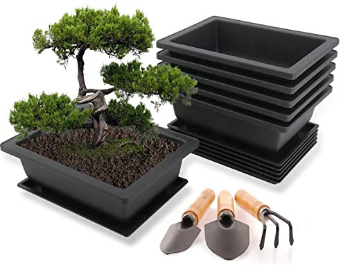 Kdtoll Bonsai Schale mit Untersetzer, 6 Stücke Bonsai Topf, Bonsai Trainingstöpfe aus Kunststoff, 23x17x8cm Blumentopf Rechteckig Set, Plastik Bonsaischale mit Tablett und Mini Gartenwerkzeug Set