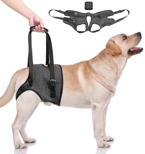 LPZMPZ Aide au transport pour chien - Sangle de transport pour pattes arrière - Harnais de transport pour chien avec poignée - Harnais de levage pour chiens handicapés, blessés ou chiens âgés - Noir