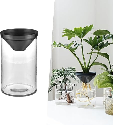 Avocado-Samensprossen-Starter, Avocado-Vase für den Anbau von Pflanzgefäßen, klarer Avocadobaum, Glasvase, Geschenk für Gartenliebhaber, Heimbüro, Tischdekoration