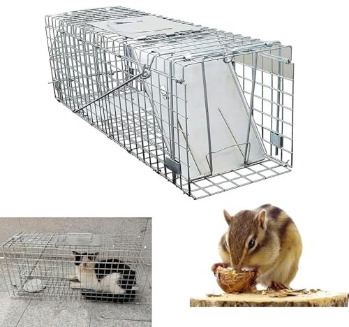 Mausefalle lebend - Hochsensitive Lebendfalle Maus - Tierfreundliche Hygenische Mäusefalle - Einfache Köderfixierung - Wiederverwendbare Rattenfalle lebend