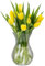 KONZEPT Vaso per fiori in vetro, altezza 18 cm, diametro 11 cm, vaso per tulipani, trasparente, lavabile in lavastoviglie, piccolo vaso per decorazione da tavolo per matrimoni e feste