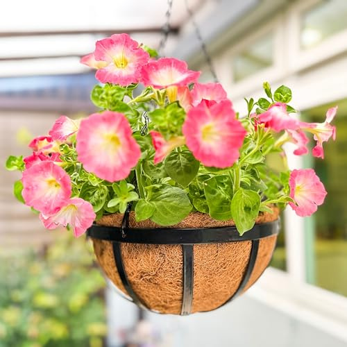 LaLaGreen Outdoor Hanging Baskets for Plants (12 Inch, 2 Pack) Medium Black Hanging Planters with Coco Liner, Metal Flat Iron Flower Pots for Deck Patio Porch Modern Garden Balcony Outside Decoration