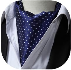 HISDERN Krawattenschal Herren Hochzeit Ascot Krawatte Gepunktete Elegant Business Halstuch
