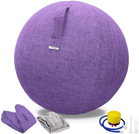 TokSay Exercise Ball Chair with Fabric Cover, Standard Size (25inches/65cm), for Home Offices, Balance Training, Yoga Ball