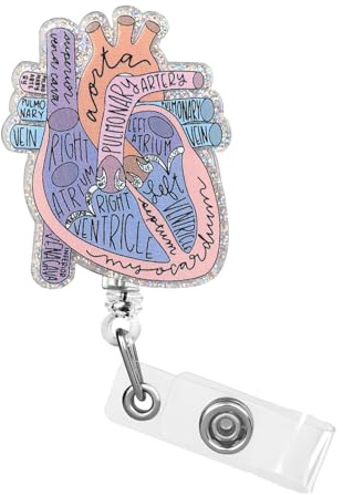 Dimeho Cardiac märkeshållare hjärta infällbar rulle ID-kort klämma anatomi rolig sjuksköterska namnbricka hållare pediatrik amning emblem klämmor för läkare student lärare kontor klinik medicinsk