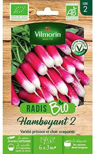 Sachet graines Radis Flamboyant 2 BIO -Raphanus sativus