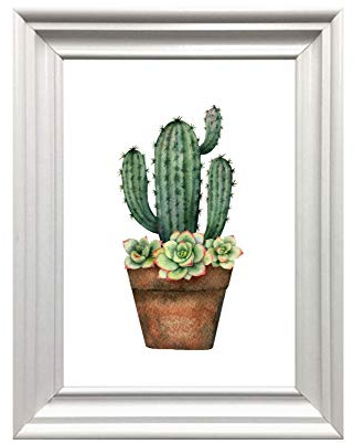 Din A4 Kunstdruck ungerahmt - Kaktus Feigenkaktus Sukkulenten Dachwurz Aquarell Natur Topfpflanze Druck Poster Bild