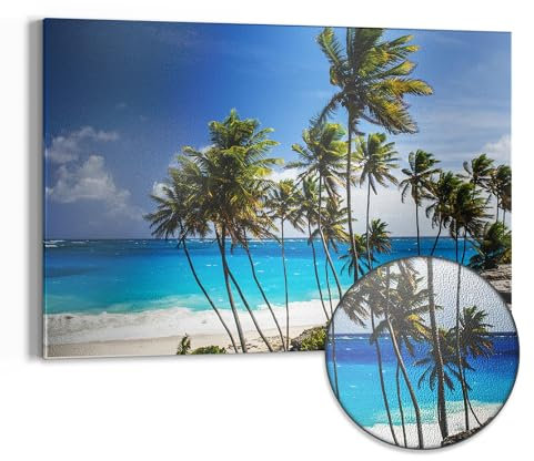 DEQORI Metall Magnettafel | 60x40 cm cm groß | Motiv Tropenparadies | Whiteboard für alle Magnete | Magnetboard Wand-Tafel für Küche & Büro | Design Magnetwand Pinnwand magnetisch