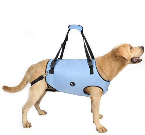 Coodeo Hundeliftgeschirr, Haustierunterstützung & Rehabilitation Sling Lift Verstellbare Gepolsterte atmungsaktive Gurte für Alt, Gelenkverletzungen, Arthritis, Stabilitätsverlust Hunde(Blau, XL)