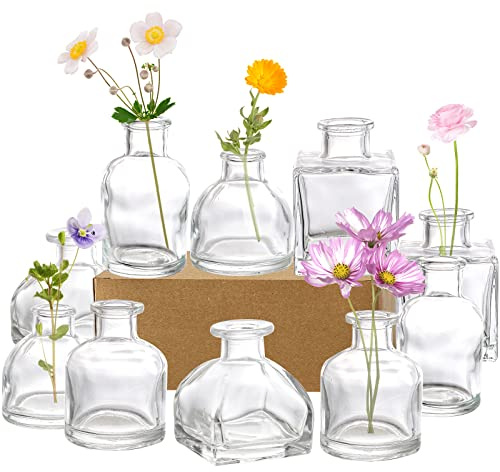 Hedume Glas-Blumenvasen-Set, klein, klare Glasvasen, dekorative rustikale Blumenvasen, Mini-Tisch-Blumenvase für Heimdekoration, Tafelaufsätze, Veranstaltungen, Vintage-Look, 10er-Set