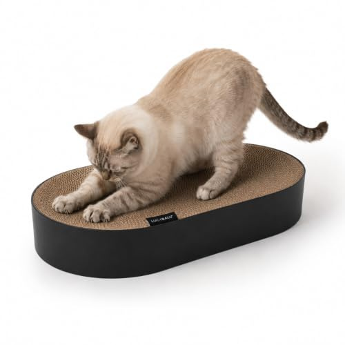 LucyBalu® SCRATCHBED Kratzbett für Katzen aus Pappe | Kartonbett | XXL-Kratzbrett oval rund | Kratzpappe | Kratzmöbel | Kratzkarton | Kratzspielzeug | Schwarz | Kartonbett und Kratzbrett in einem, oval, sehr stabil, für lange Kratz-Sessions