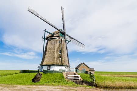 adrium Holz-Bild 60 x 40 cm: Niederländische Windmühle im Norden auf dem Texel Wadden Island in den Niederlanden.(101357972)
