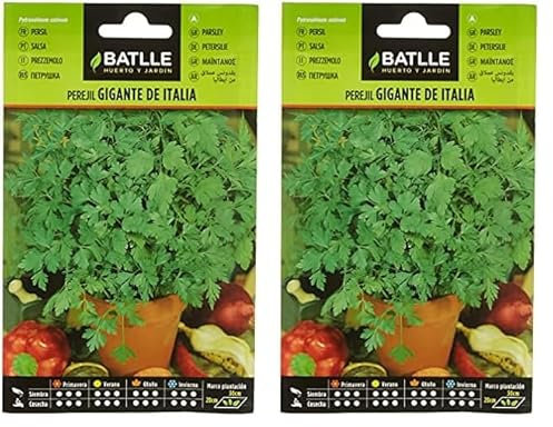 Battle - Semi Aromatici Prezzemolo Gigante d'Italia (Semi - 35Cm) (Confezione da 2)