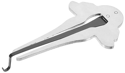 Maultrommel aus Metall in Silber, Tragbares Anfängerinstrument | Klarer, Präziser Klang, für Entspannung und Meditationspraxis, Traditionelles Nationales Musikinstrument