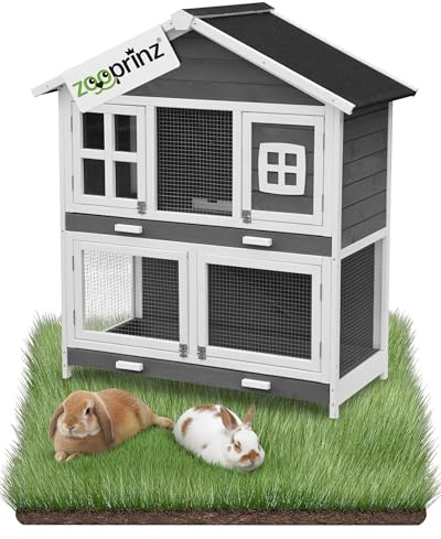 zooprinz Hasenstall XXL 2 Etagen aus Holz für innen und außen | Kaninchenstall mit Auslauf, Außenstall und Hasenhaus für Kaninchen und Meerschweinchen, großes Design