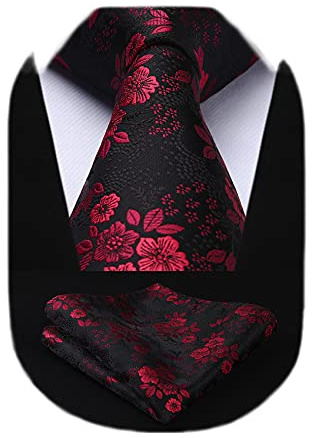 HISDERN Ensemble cravate et mouchoir à motif cachemire fleuri extra long pour homme