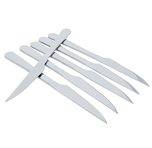 BESCH 6 Cuchillos de Carne Acero Inoxidable 21 x 2 cm