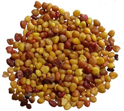 Trèfle Blanc Gazonnant Rivendel NT - 250 grammes - Trifolium Repens L - White Clover - (Engrais Vert - Green Manure) - SEM14