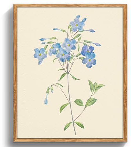 MHARTK66 vintage Bilder Wohnzimmer Blumen Gemälde schlafzimmer 30x40 cm | botanikmotiv, leinwandstoff, hd-druck, leicht hängbar, rasch montiert, klassische wanddeko, flexible raumdeko, geschenkidee