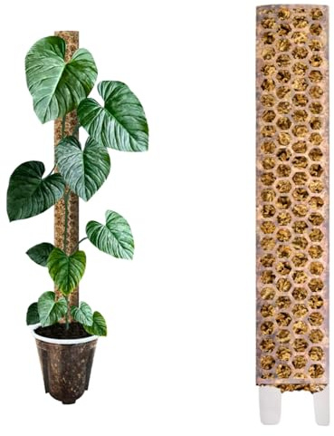 Nils der Pflanzenfreund® Moosstab 53 cm (XL) 1 Stück, Matt – Moss Pole, erweiterbare Rankhilfe für Monstera & Kletterpflanzen, Pflanzenstab für Indoor Pflanzen