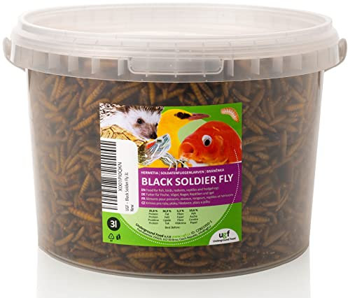 UGF - Hermetia Besser als getrocknete Mehlwürmer - 430g im 3 Liter Eimer, 85-mal mehr Kalzium als lebende Mehlwürmer, Futter für Wildvögel, Schildkröten, Ratten, Igel, Hamster – Soldatenfliegenlarven