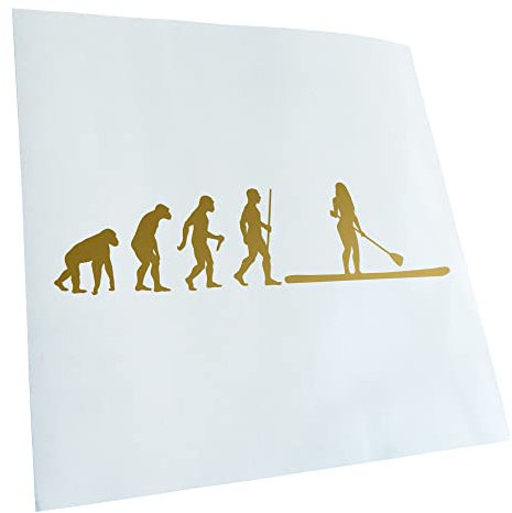 Kiwistar - Autoaufkleber - Stand Up Paddling Evolution - Gold - 20x5,1cm - Heckscheibe Auto Aufkleber wetterfest für Kfz LKW Mofa Truck - Sticker außen selbstklebend Tuning Zubehör für Fenster
