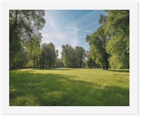 Grünes Gras im Park, digitale Malerei, personalisiertes Malen nach Zahlen aus Fotos, digitales Ölgemälde-Set mit Pinseln, Malen nach Zahlen für Anfänger, Wanddekoration für Zuhause